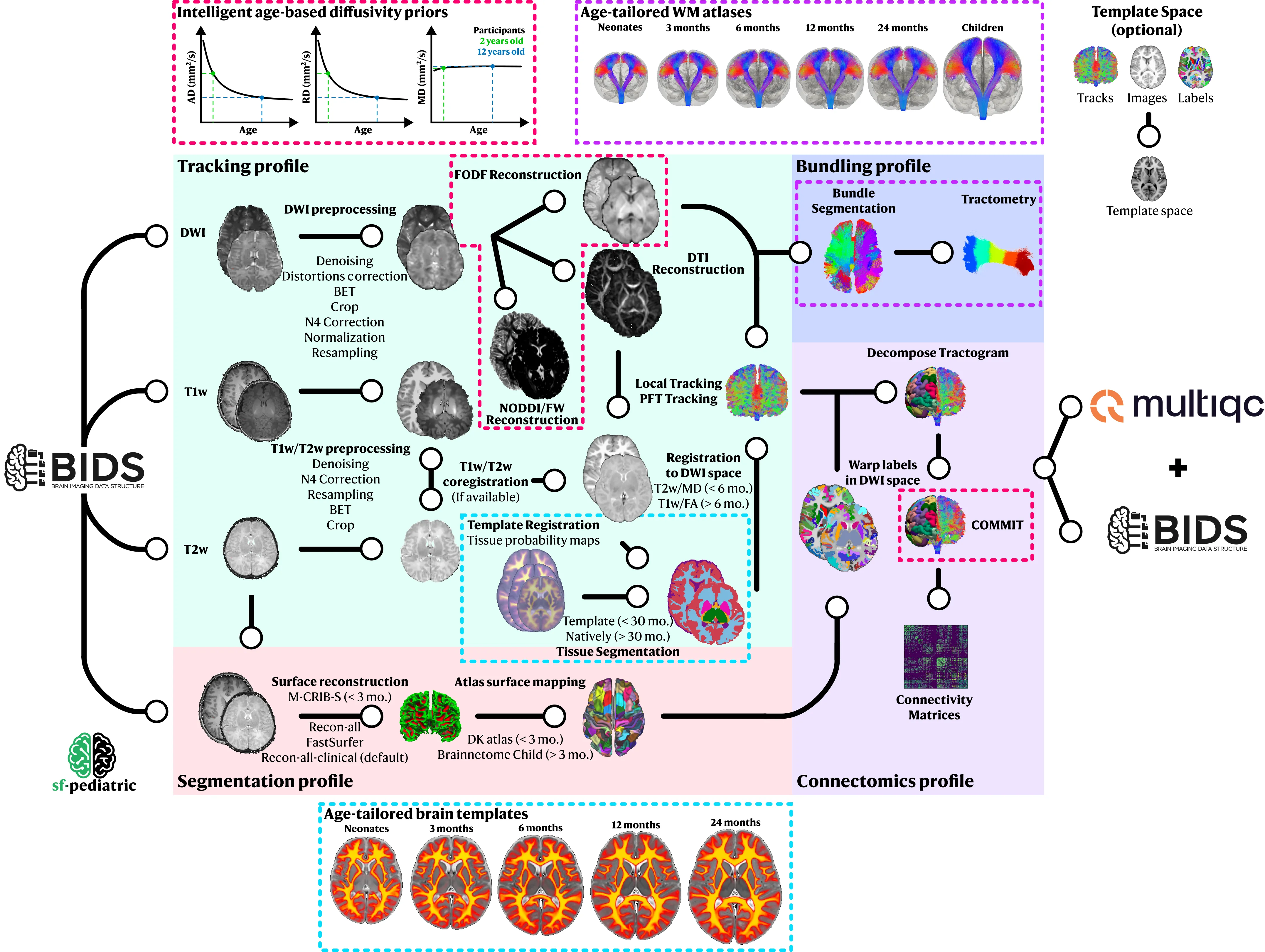 sf-pediatric pipeline schema